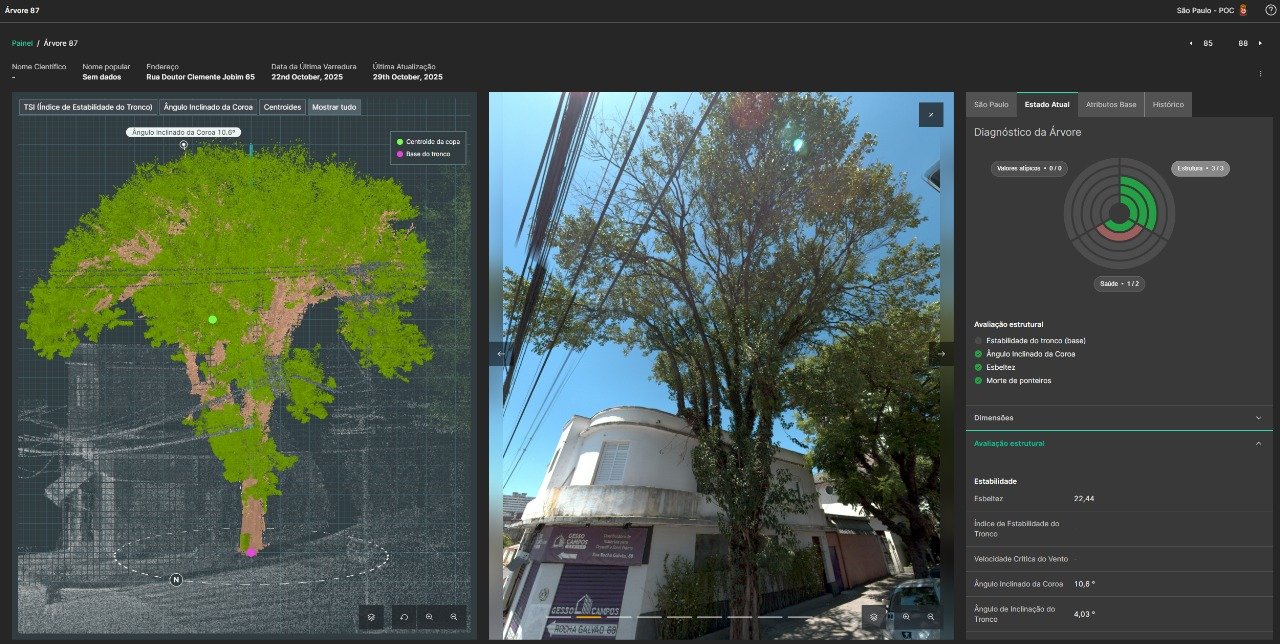 Censo Árboreo em São Paulo - Projeto avança e finalizamos a captação de dados da Vila Mariana